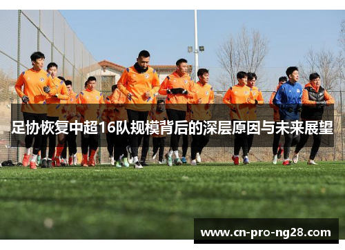 足协恢复中超16队规模背后的深层原因与未来展望